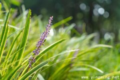 岳麓區(qū)高端網(wǎng)站建設(shè)的流程